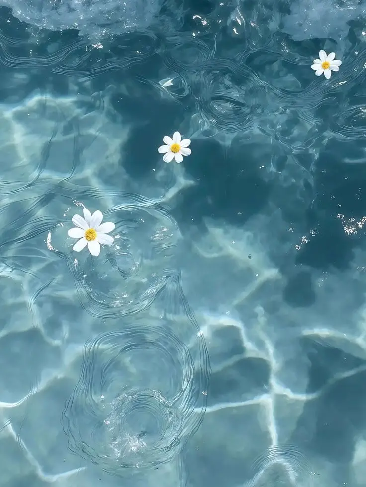 ahuuuuka191의 6部太郎