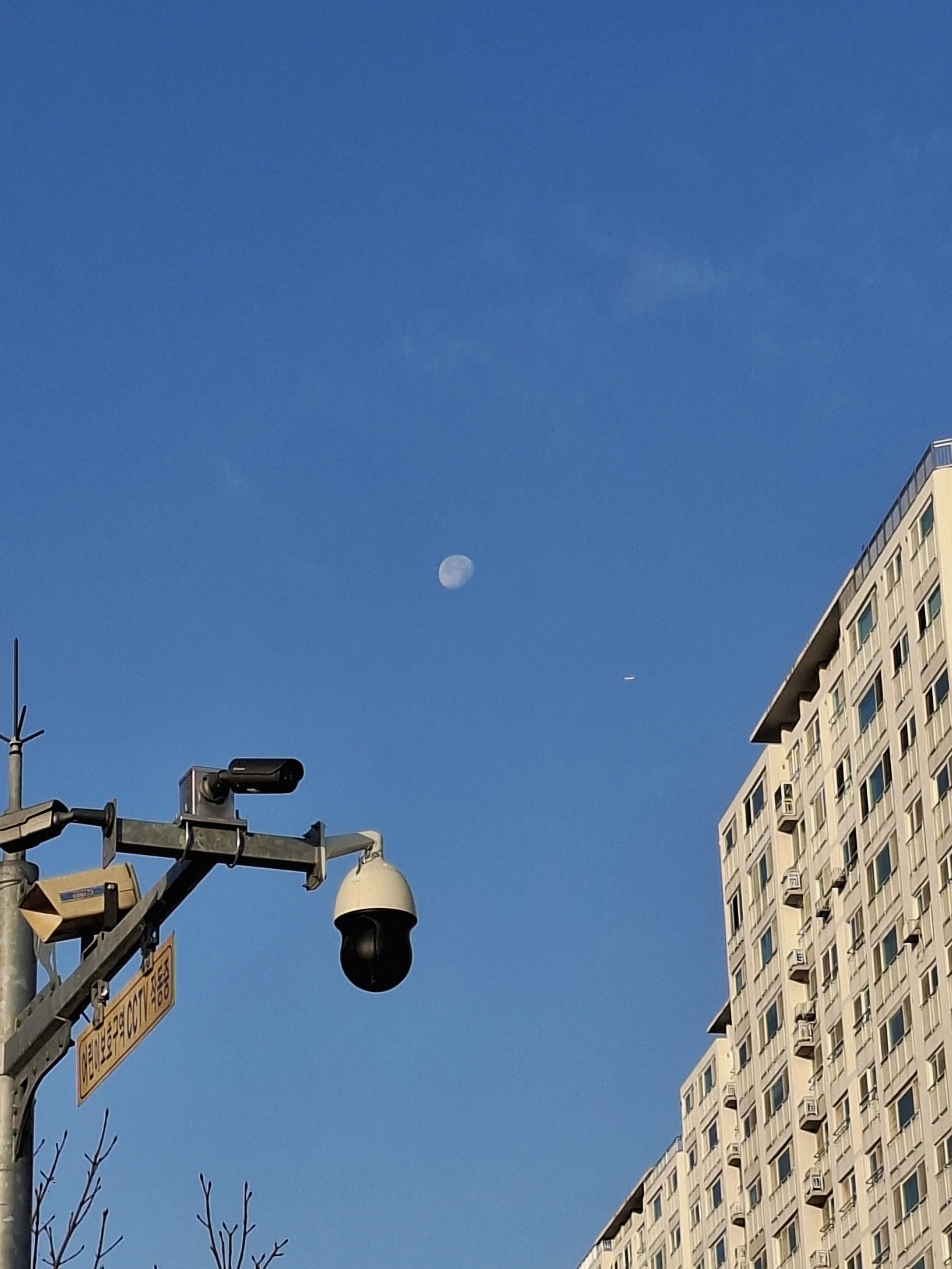 depurð 대표 이미지
