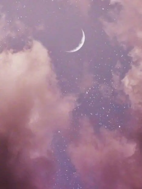 s_23의 연예인들