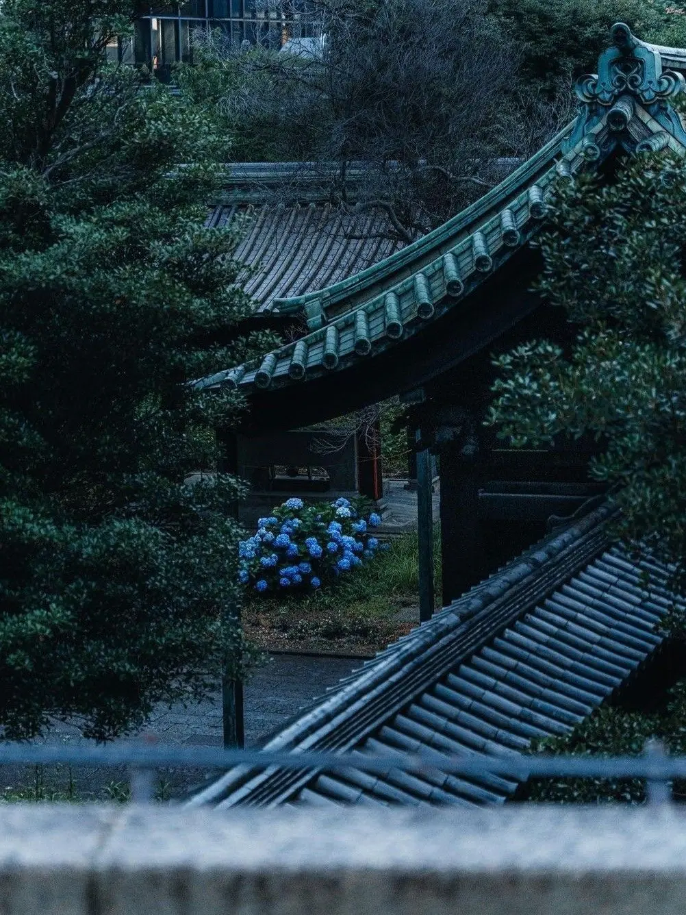 Y0mo...g1의 大正　の　契約　。