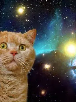 Koro_koro의 貴方はケモノにされかけてる！？