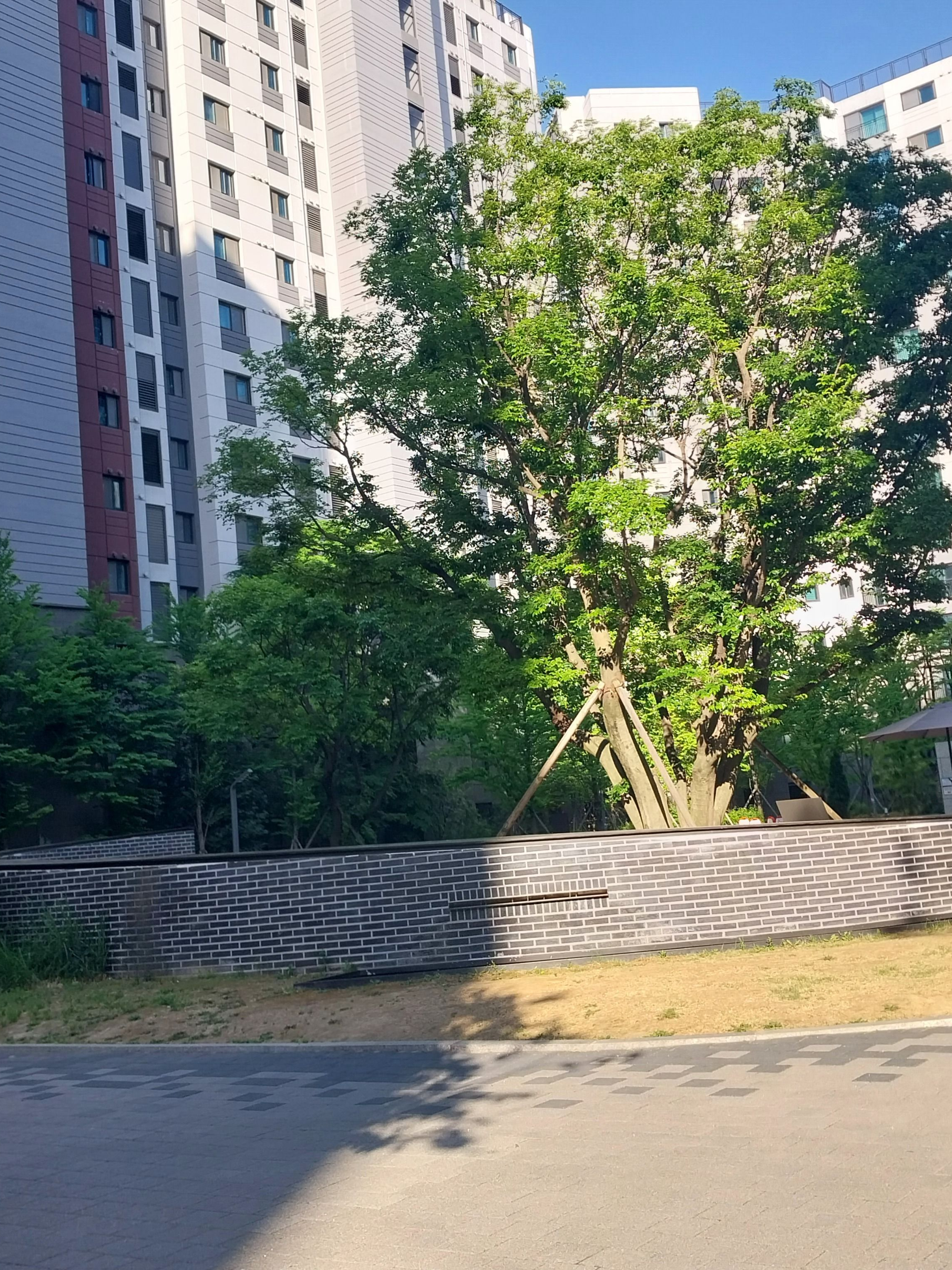「🎐」 대표 이미지