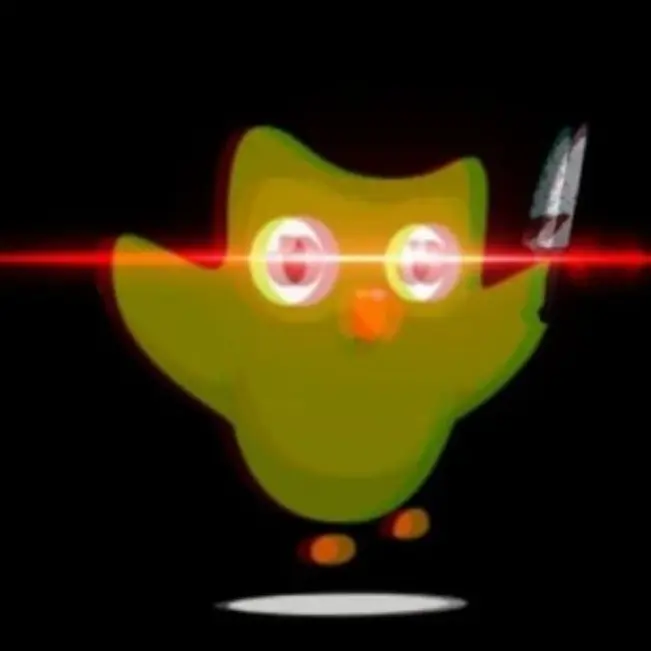 IdealTie0862의 듀오링고