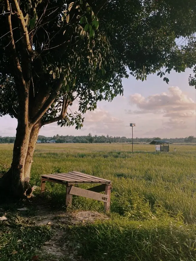 precious_XxPSxX의 »»silence→•°·.