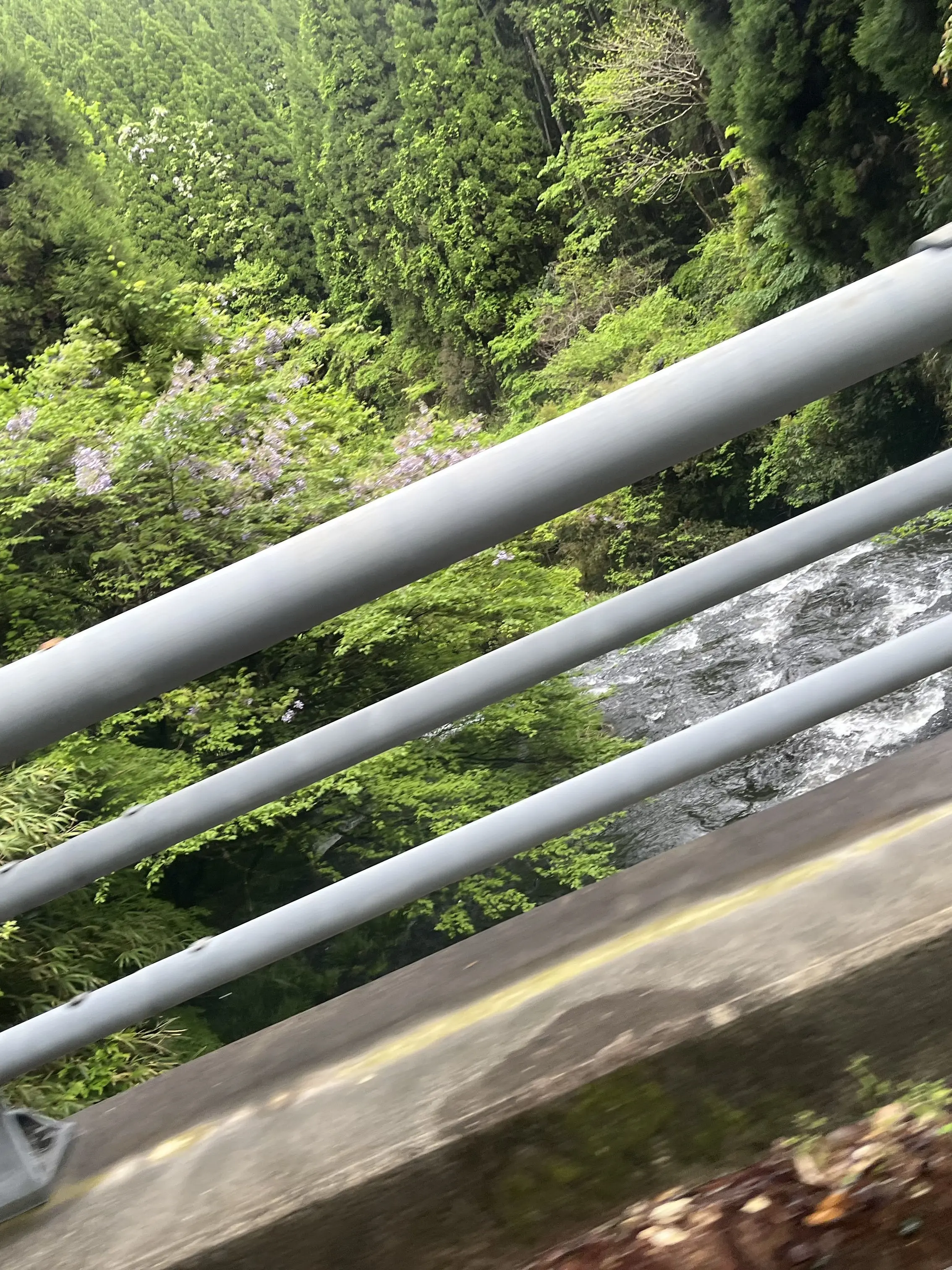 kaeki0502의 ドルパロ