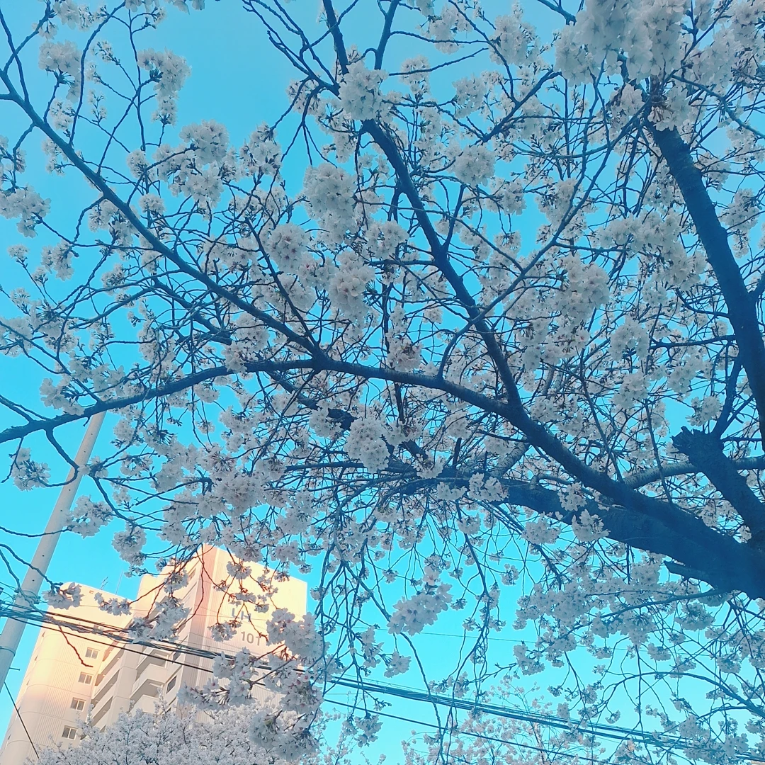 윤쫑쫑