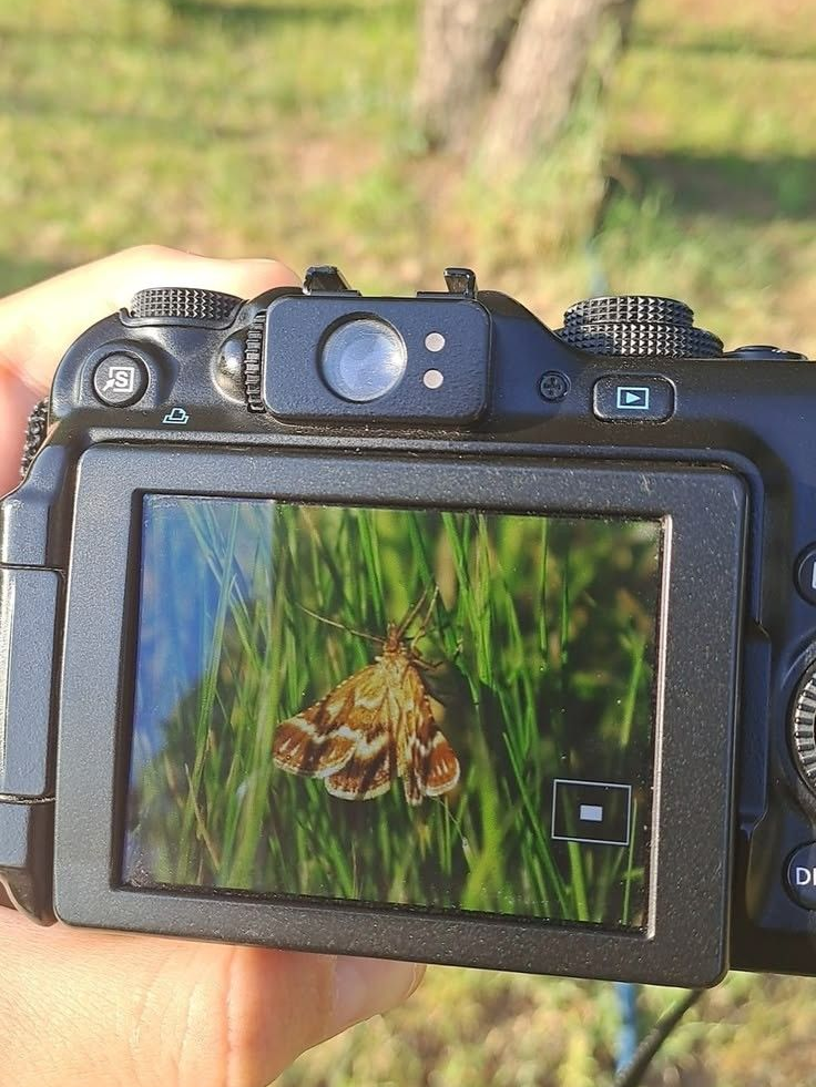 📷 🦋 💚 대표 이미지