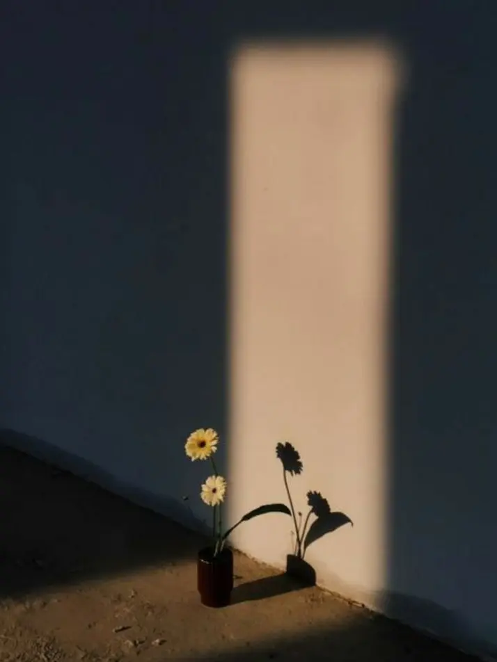 MizukiKairen77의 미스터리 수사반