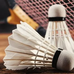 Actinomycosis의 ✨라켓소년단🏸