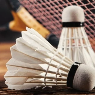 ✨라켓소년단🏸