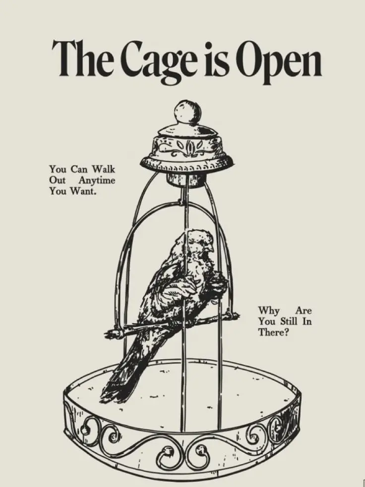 approximately의 차시헌