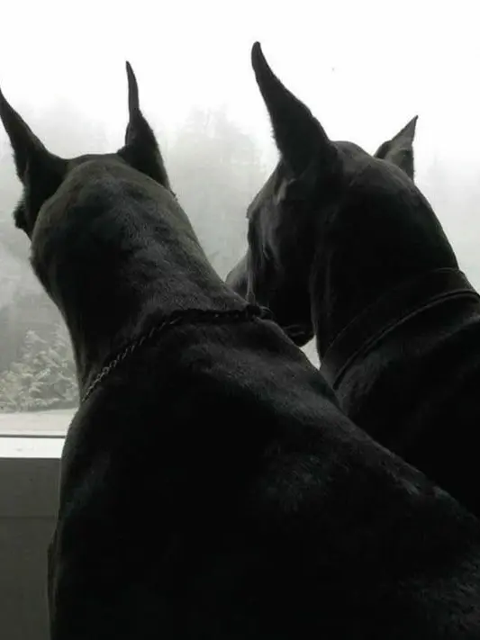 approximately의 車時憲