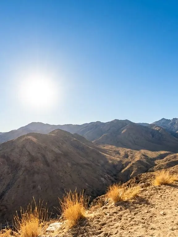 EasyWood7595의 공룡의 삶