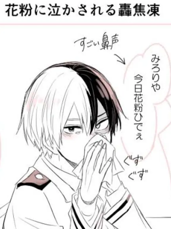 NutmegBat3470의 ビッグ3（ビッグ4）