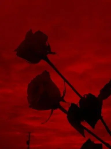 Jacklover의 아카이로 류🐲🔴