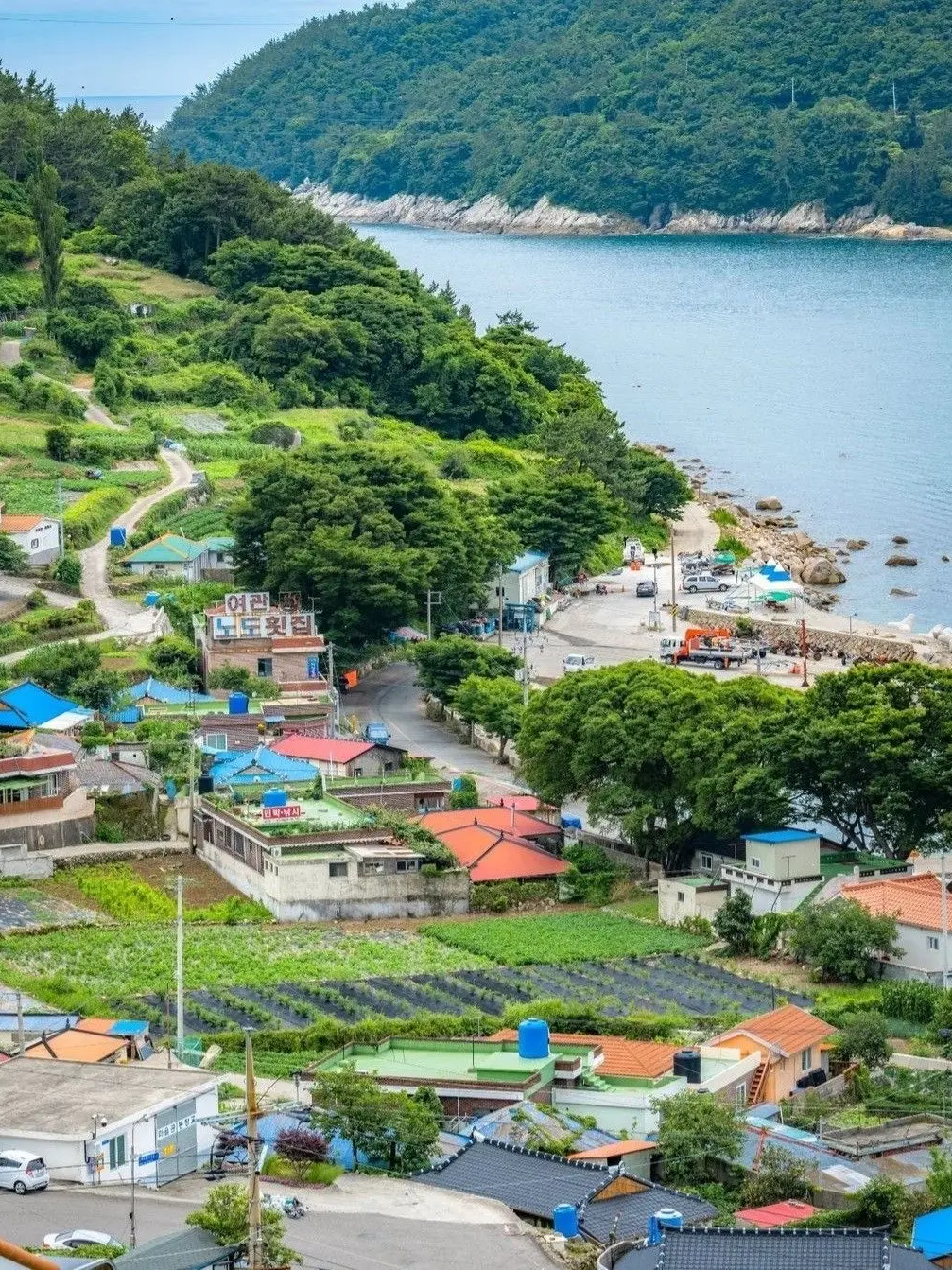 gayeon._.2031의 Moving to a Rural Village...