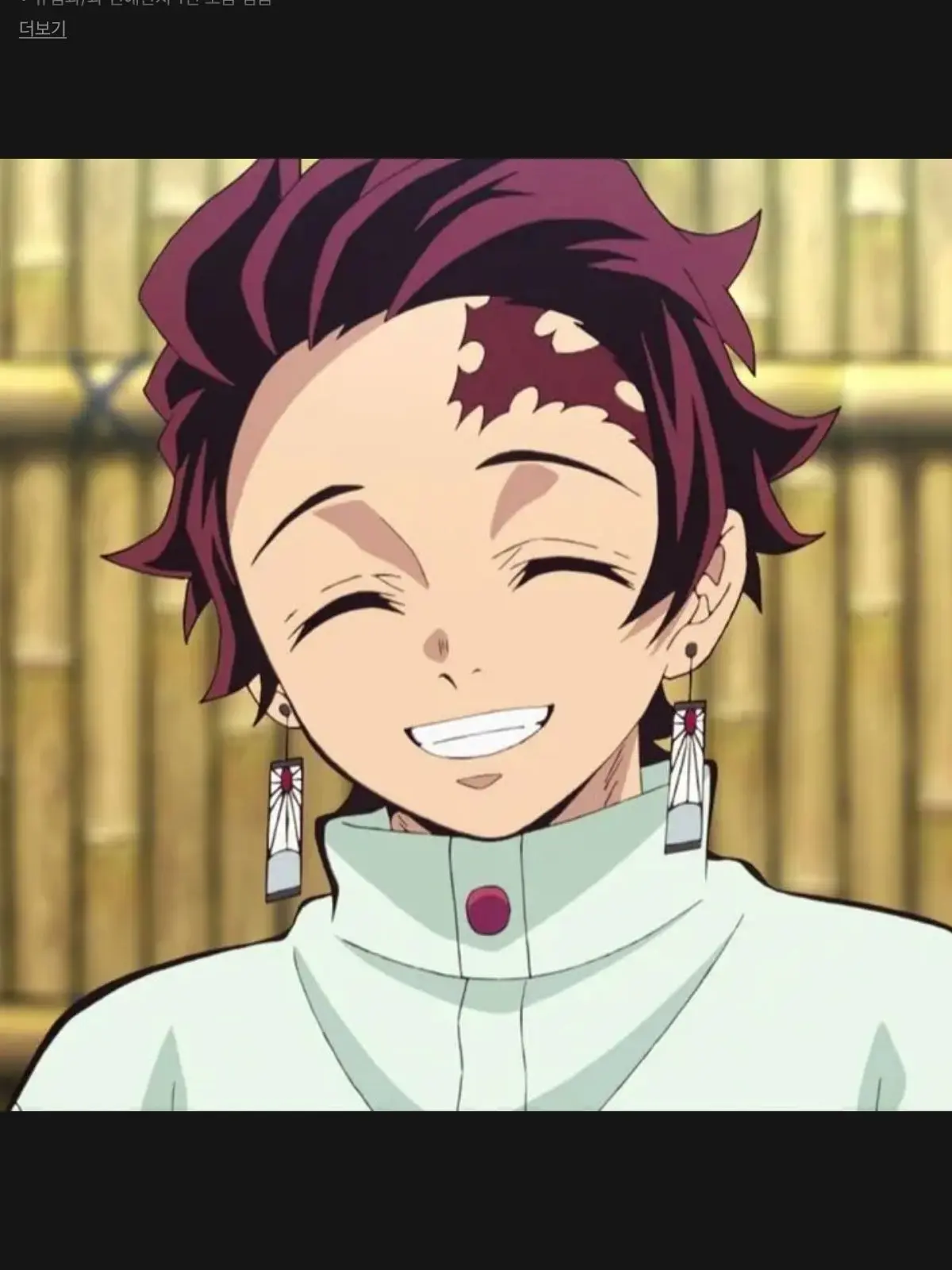 NarrowImage3469의 유저님보고첫눈에반한탄지로일행