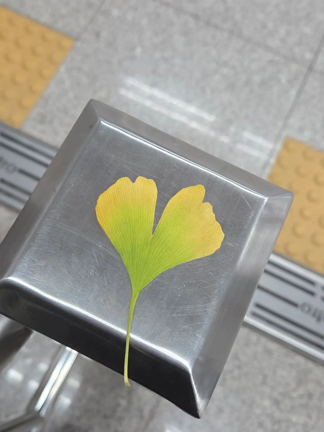 Probably5의 얼렁뚱땅 자매들