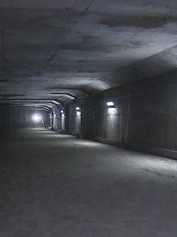 ModestLemur2658의 탈출이 먼저다.