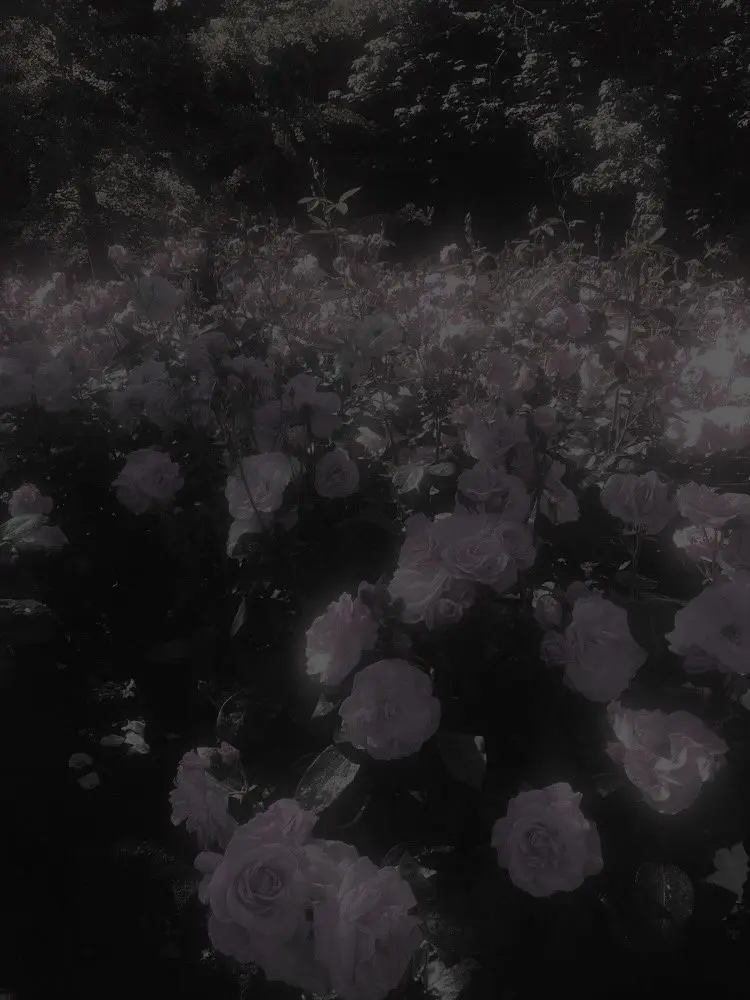 Real_yuro_yuro의 돌아온 나의 제자