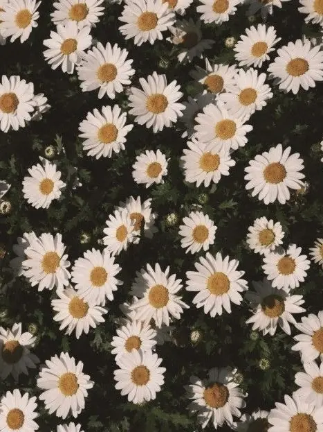 FetidQuote5266의 西谷 夕