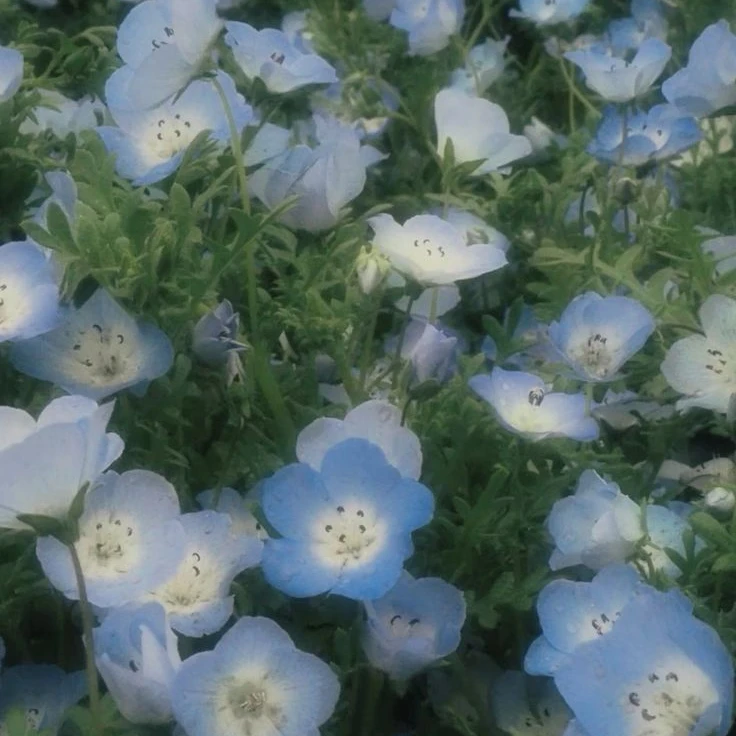 田中樹 ×マッサージ店