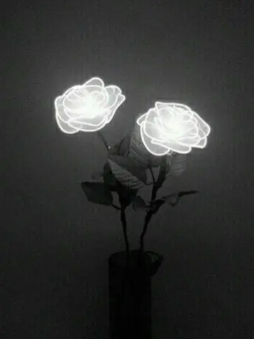 GiddySkin4993의 トー横にいた少年を助けたい。