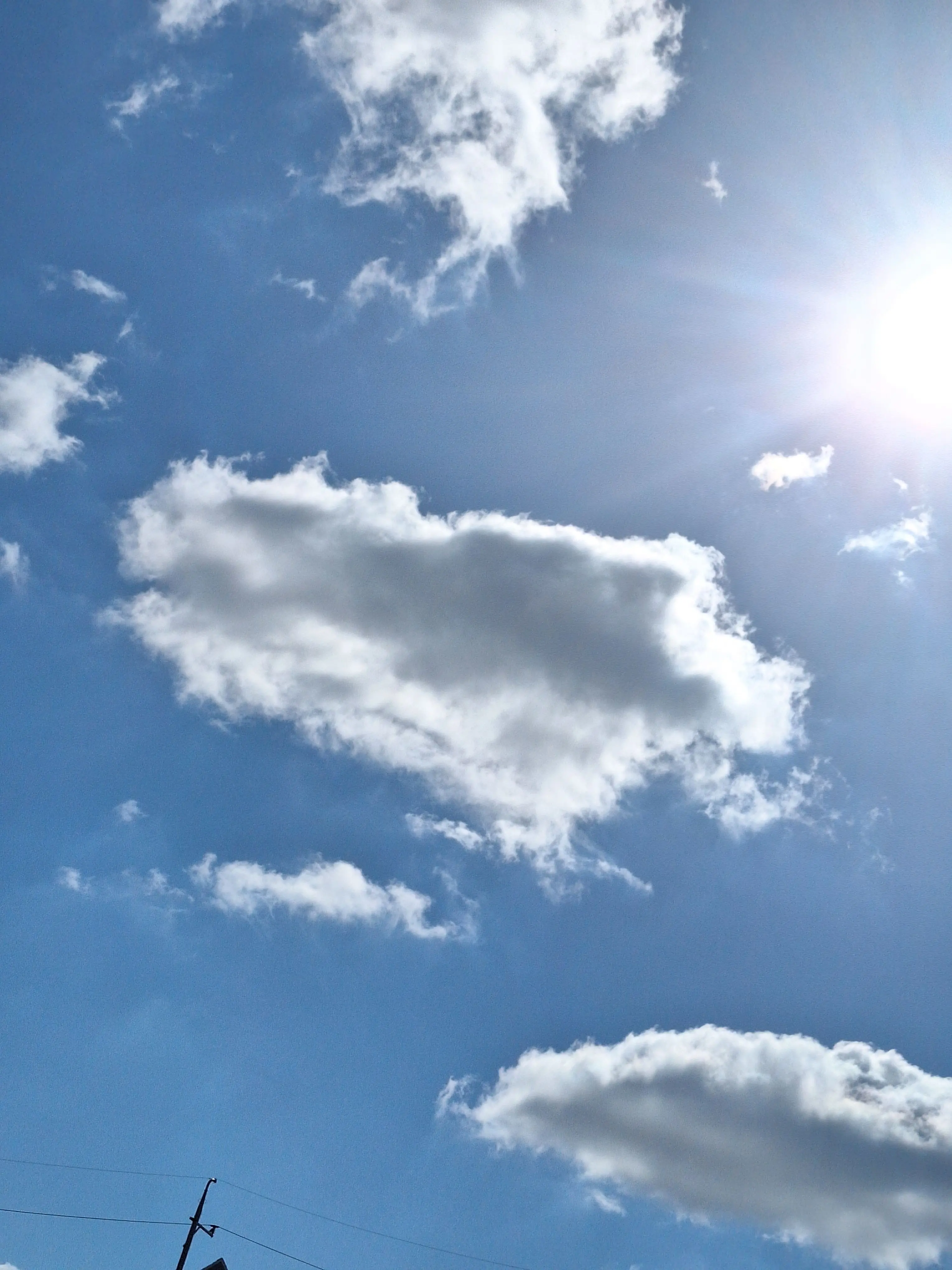 0110101의 팀고등학교