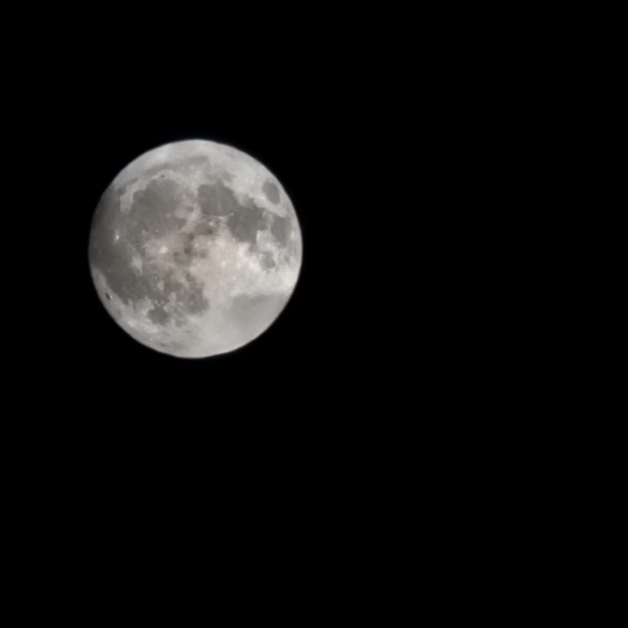 KimMoo-chae의 뜰팁밴드{여우 있음}