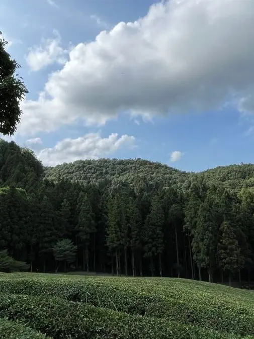 y.oon_xeul의 잠경위의 생일을 까먹은 미수반