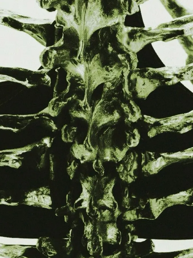 Zion.T의 Akrapovic.