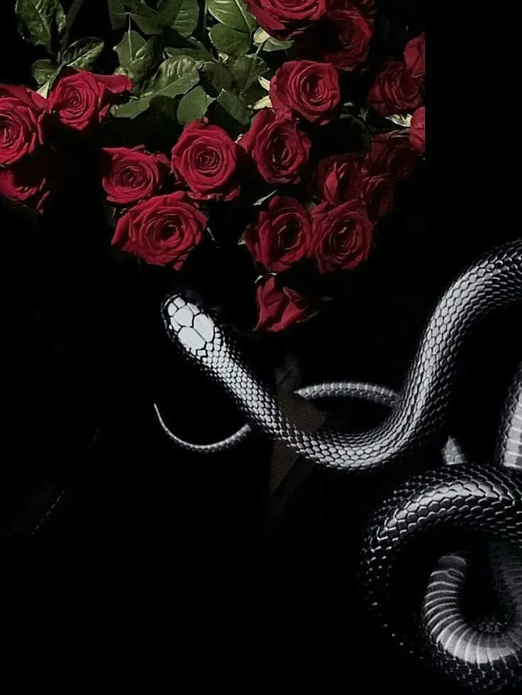 human100의 도미닉 모르베인