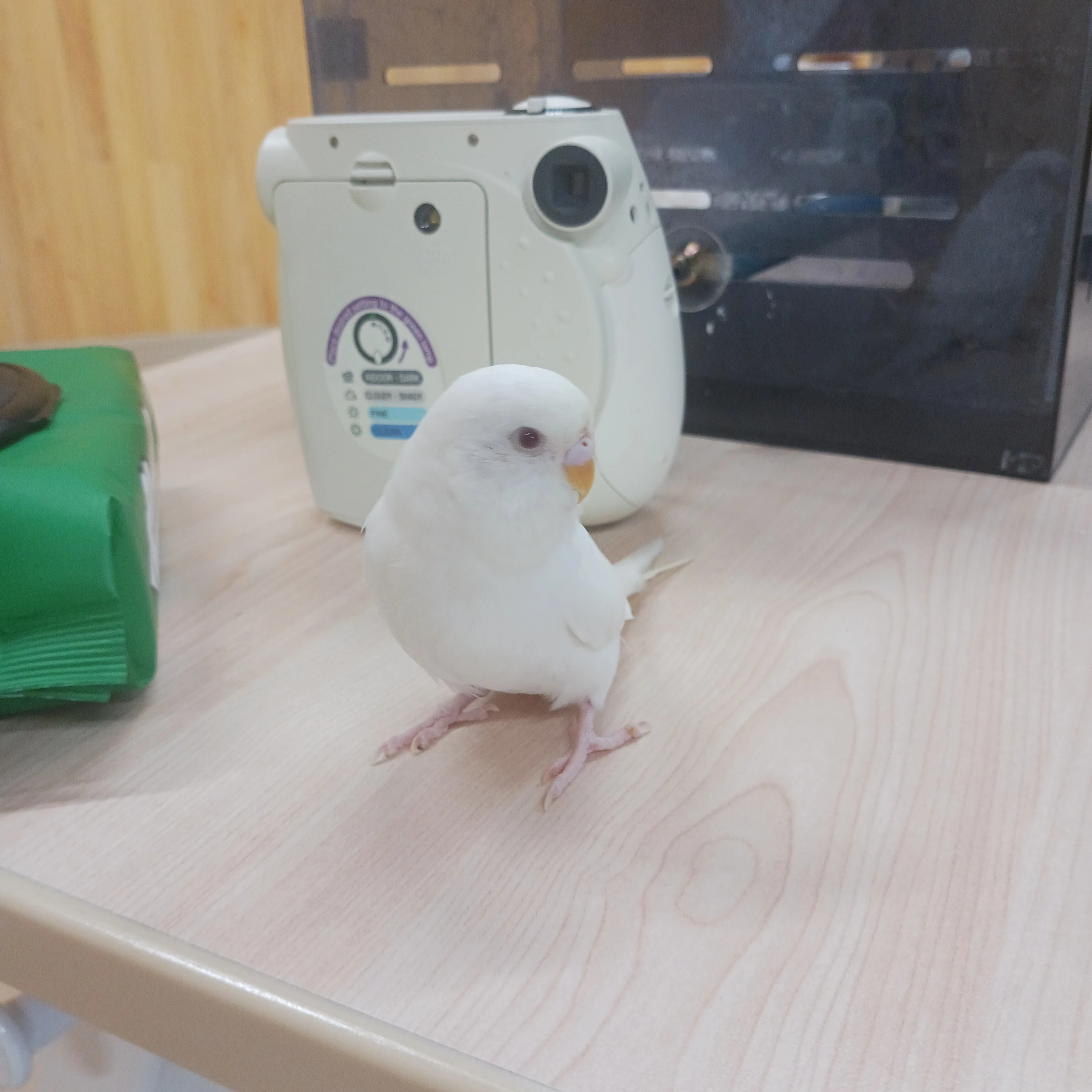 자 중지됐지