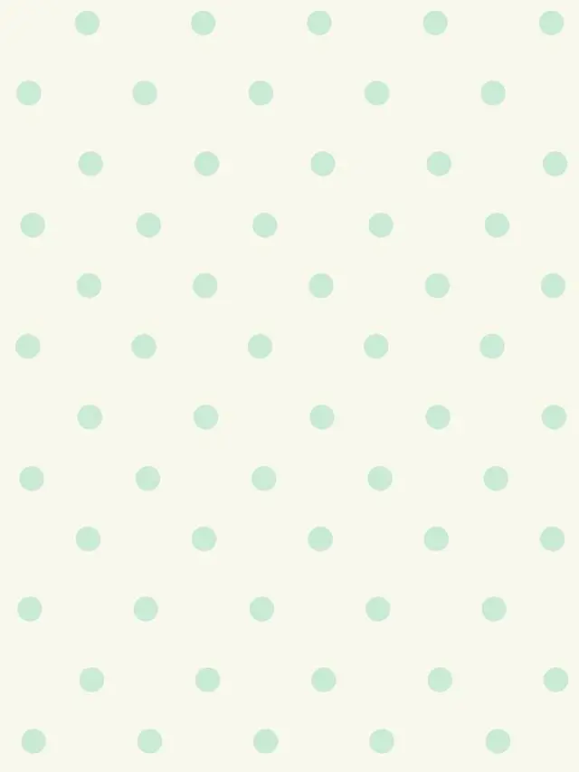 y0s4i.5의 看護師さん