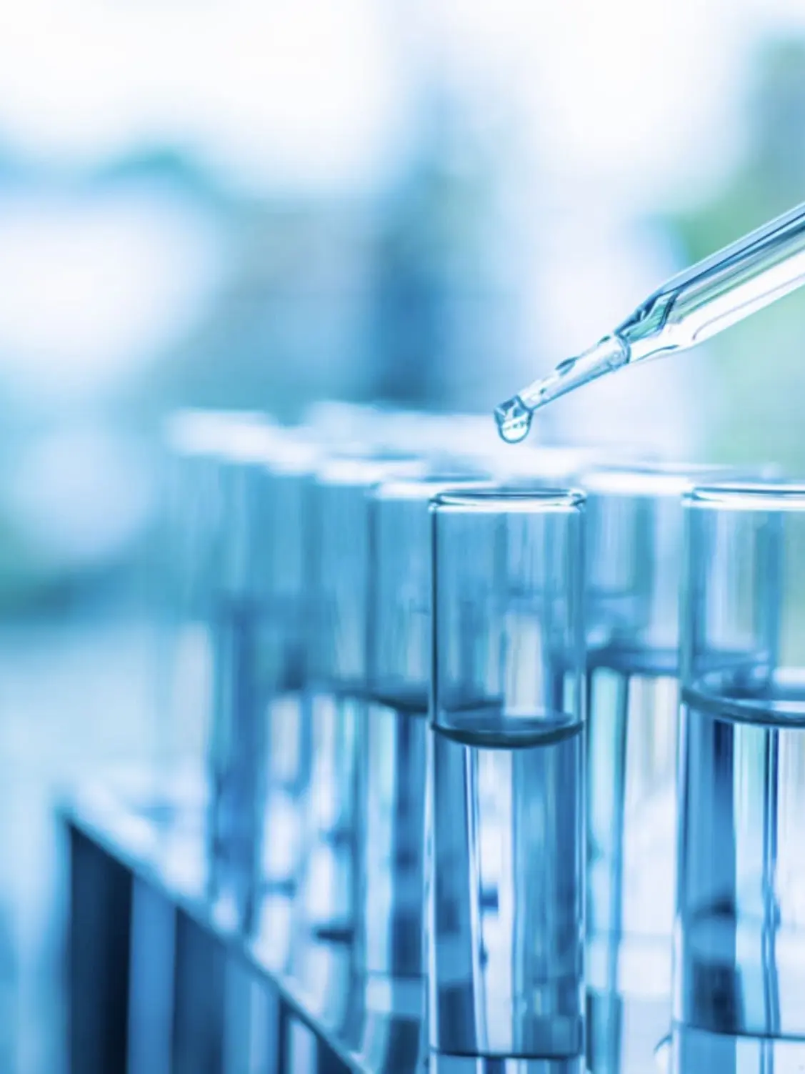 FetidGlass2601의 あなた達は実験体