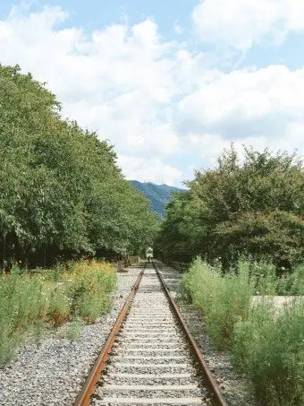 PettyTrack1856의 개인용.문스독개좋아♡