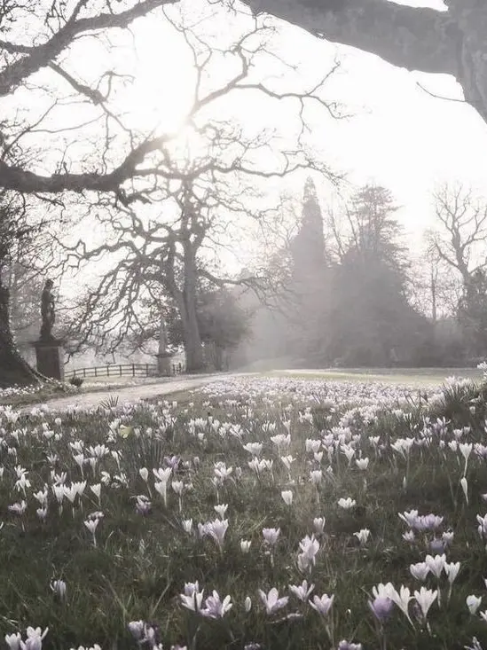 lotion의 만약 망돌 을 사랑한다면-