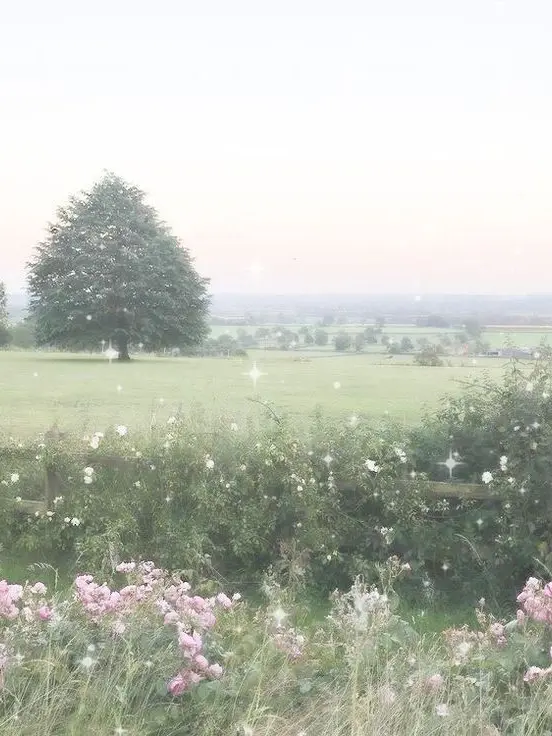 lotion의 만약 망돌 을 사랑한다면-