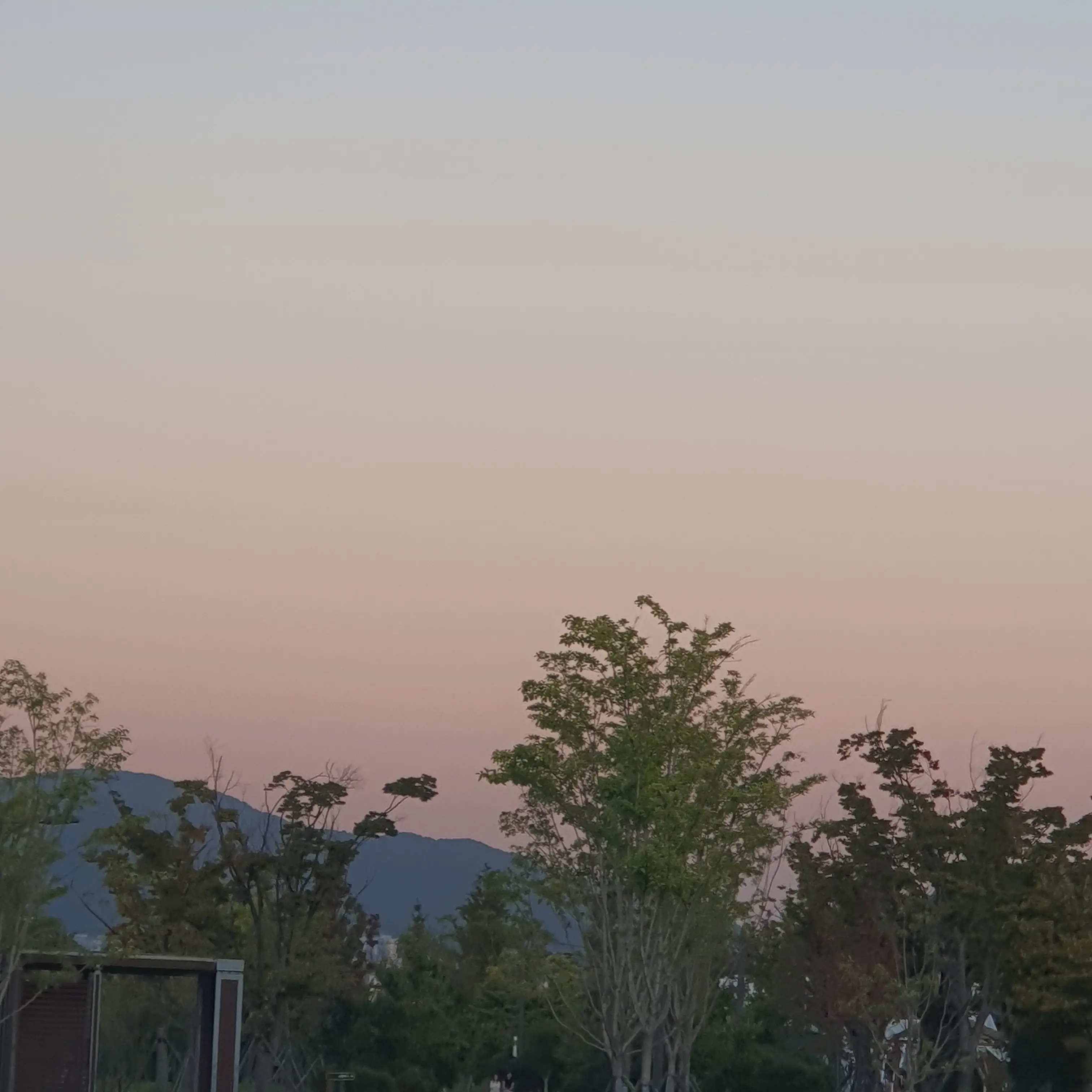 ChubbyCrane2960의 너는 나 원망안해?