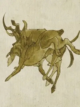 Dreamcoreinscreen의 𝒴𝒶ℯ𝓁ℴ𝓀𝓇ℯ