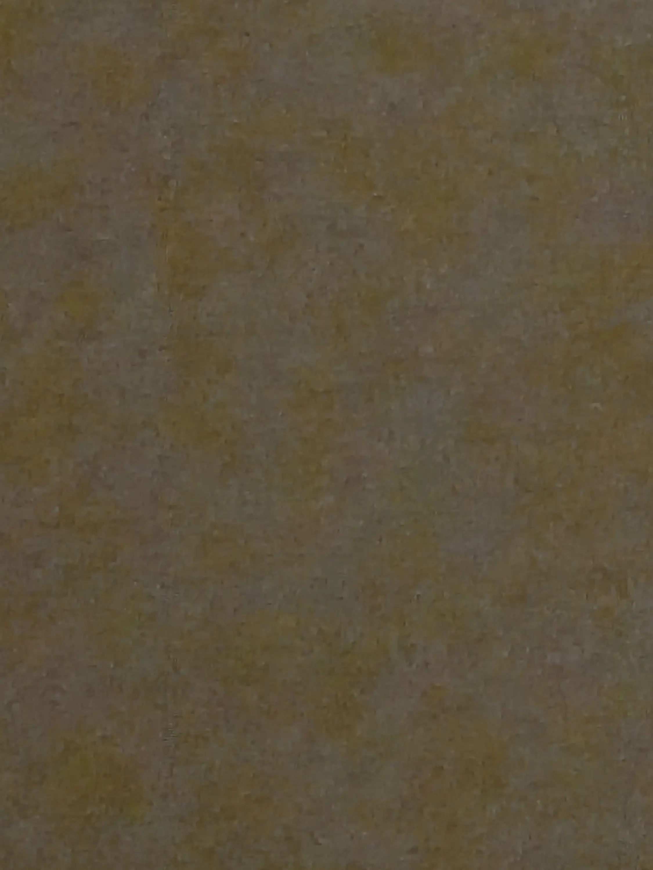 Shih의 미수반 1기(+여우)