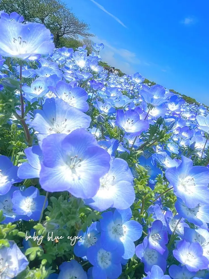 Kindsrsrsrp0512의 自分用
