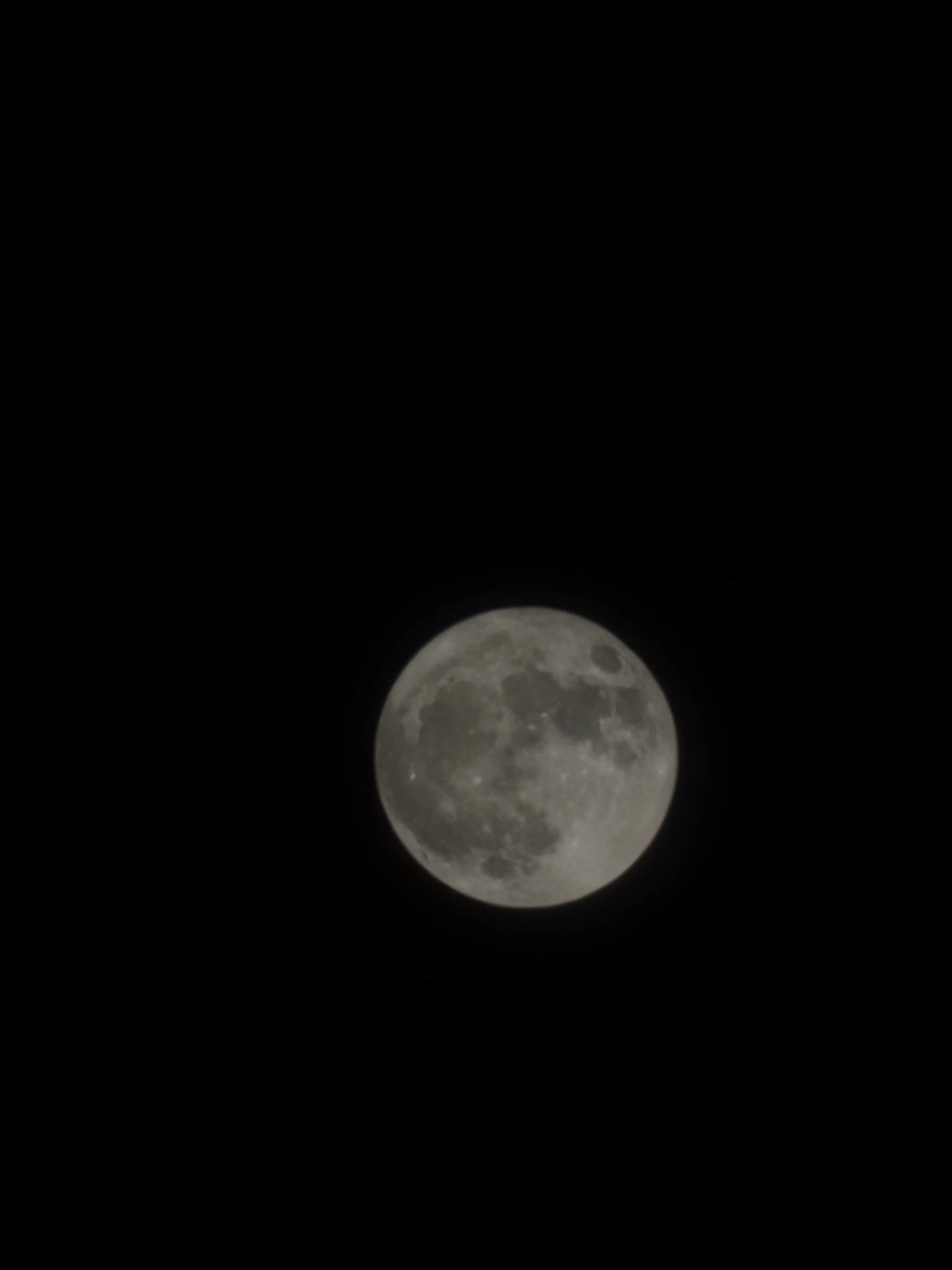 ChillyPlume4739의 맨날 늦는 여친(갠용임다!!)
