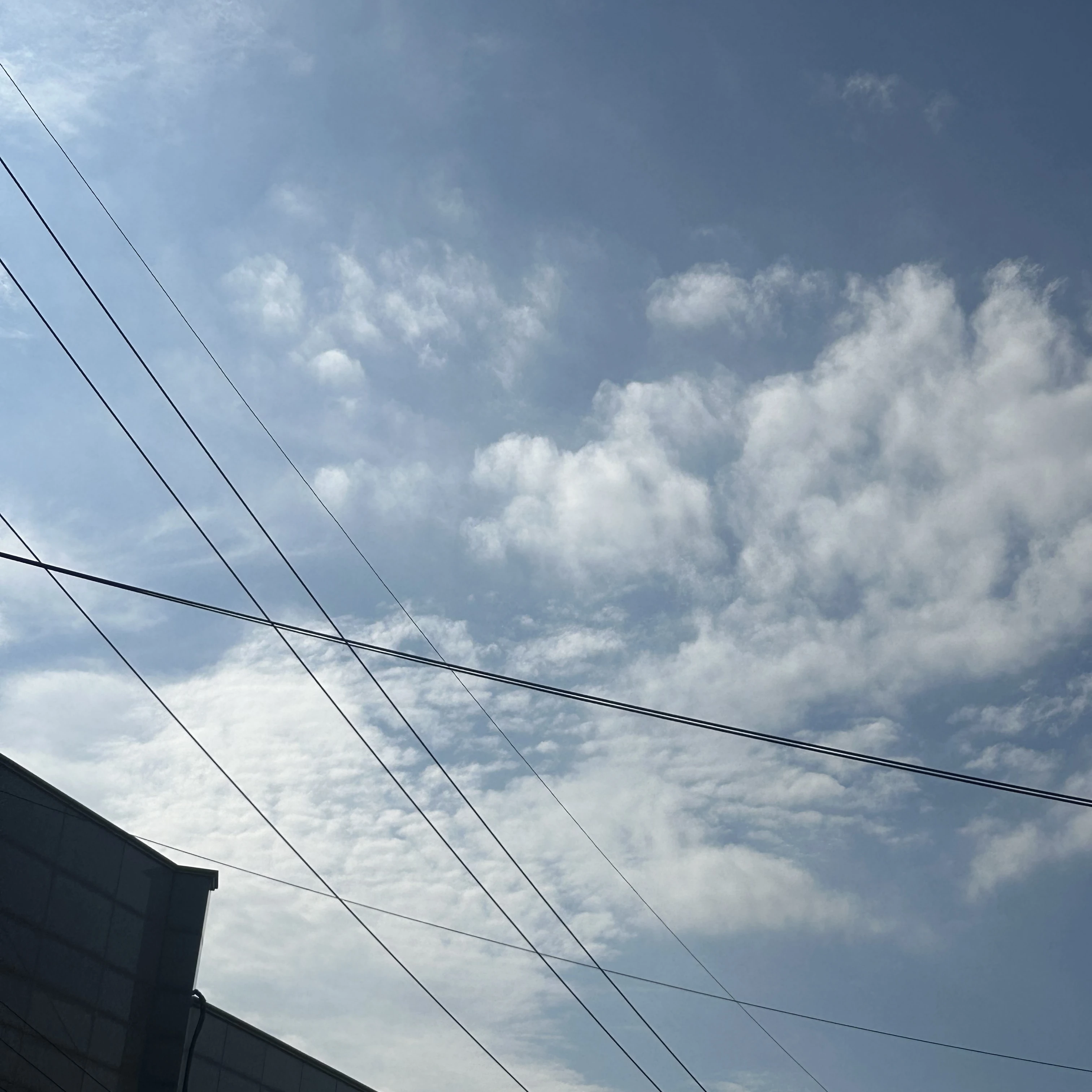 뜰팁 학교에 전학 온 여우.