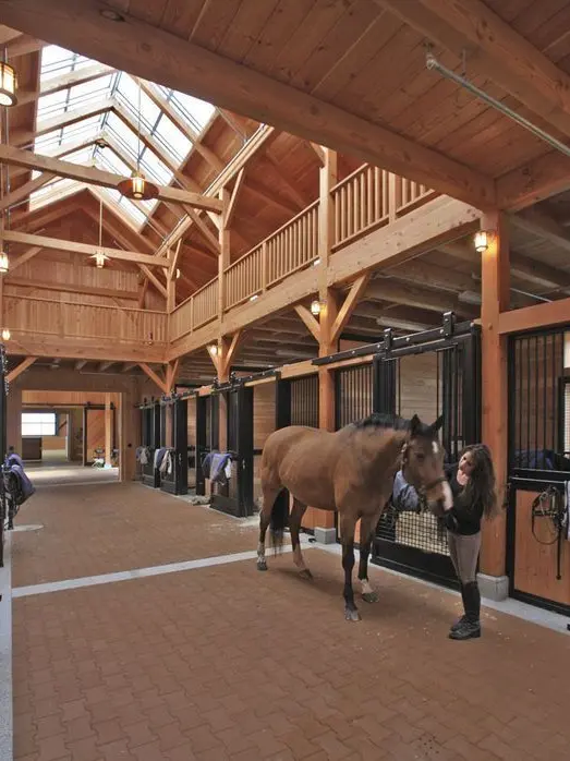 Eli3의 Riding Academy