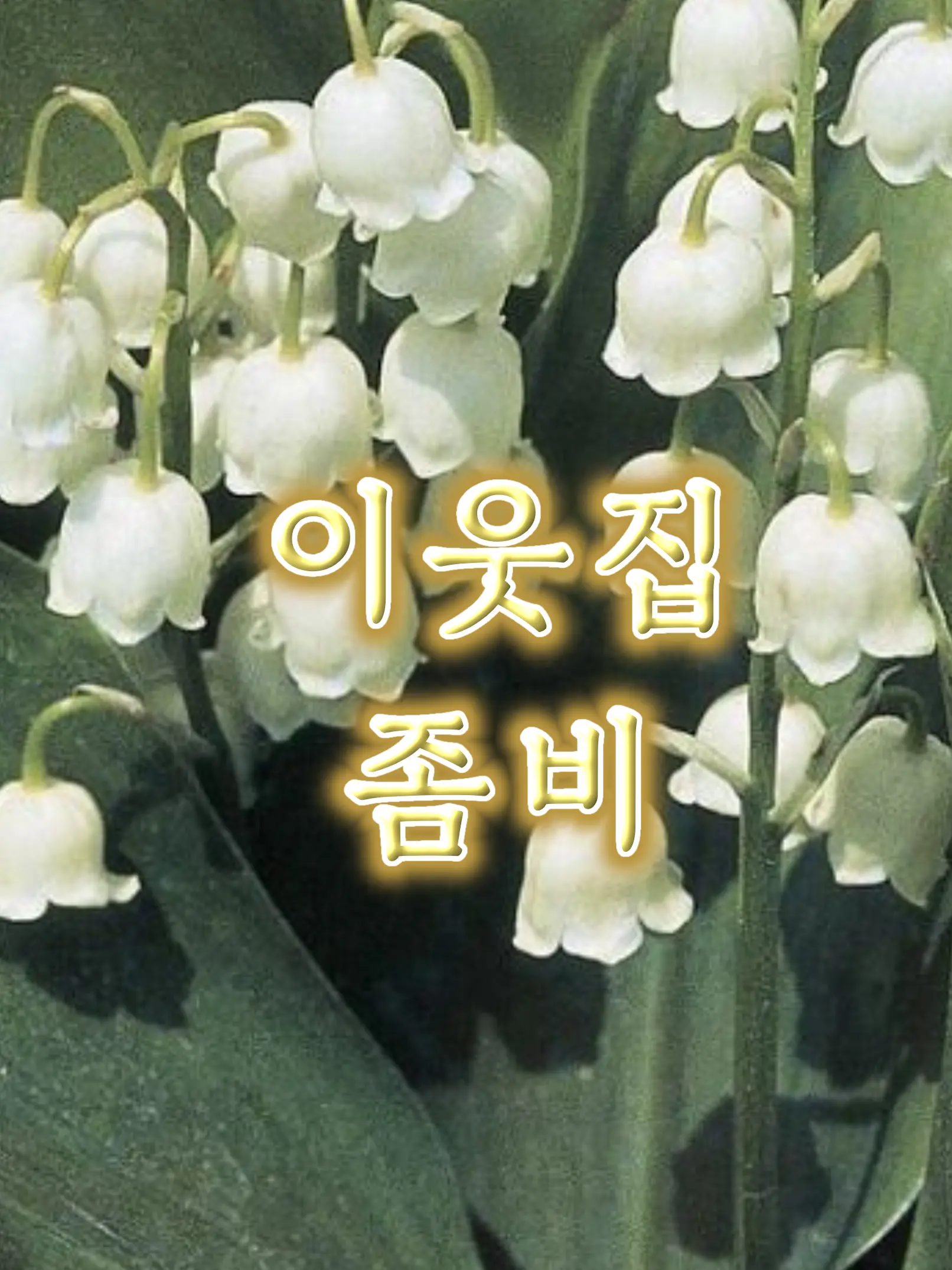 personwhomakeswhatIwant의 이웃좀