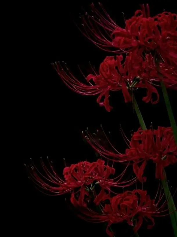 Gojo0246의 𝐒𝐡𝐞'𝐬 𝐆𝐨𝐧𝐞