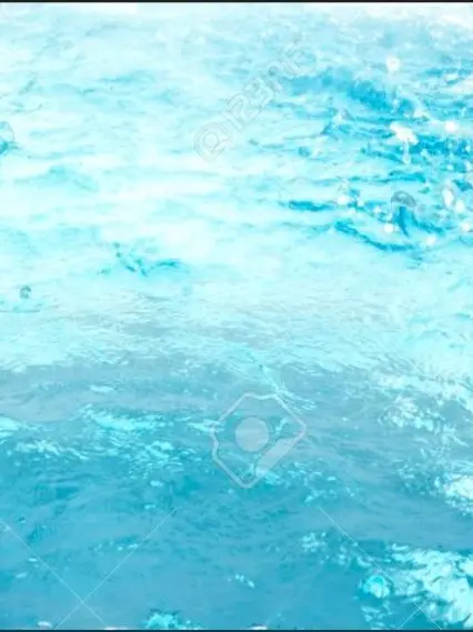 Lee-Seo-yeon의 <미스터리 수사반2-크리스마스>+여우