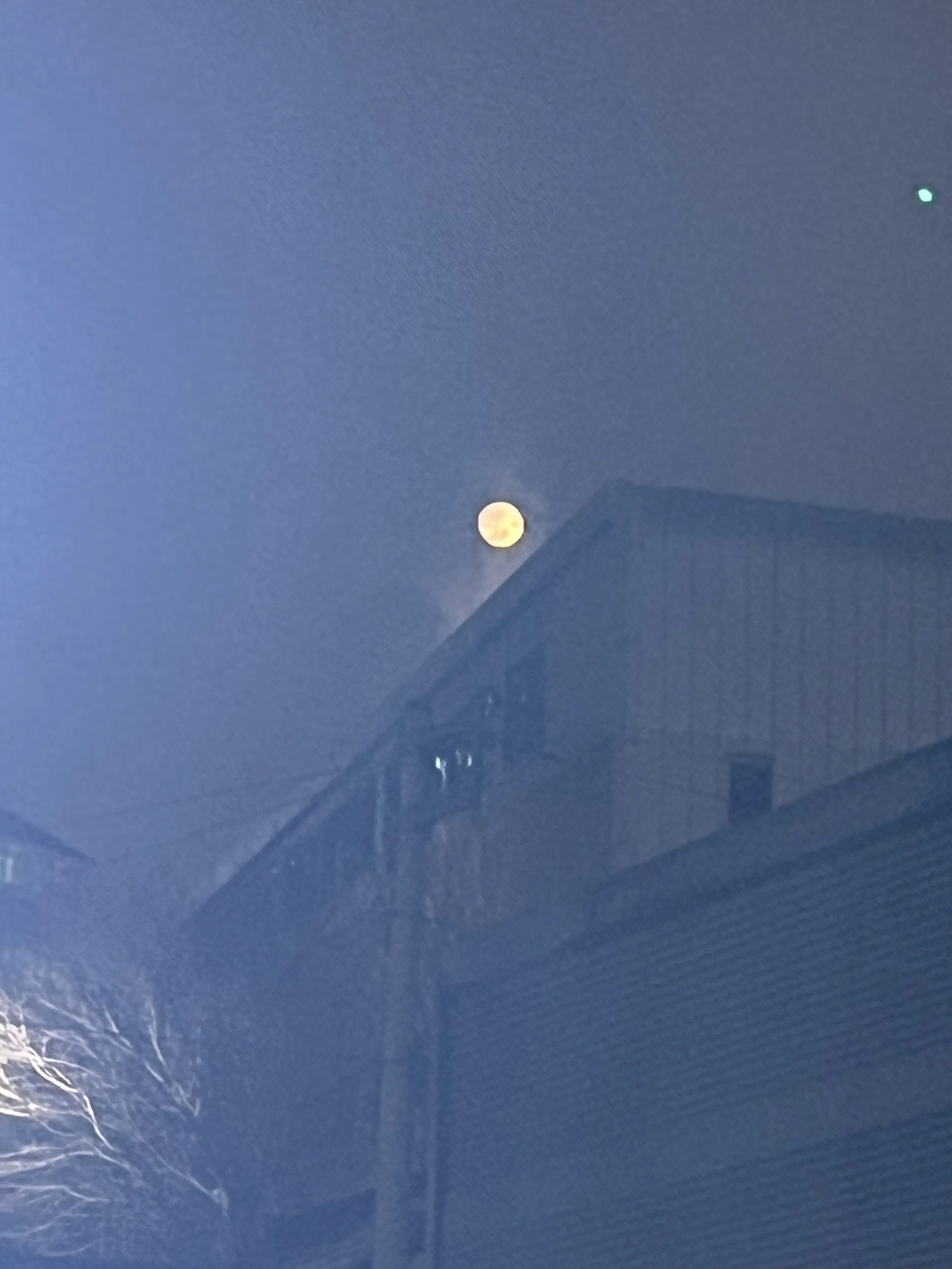 dew_1123의 구미호뎐