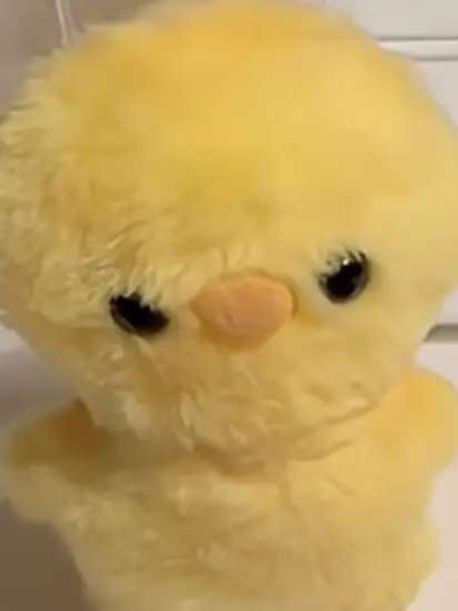 Haku_W_B의 오리쨩